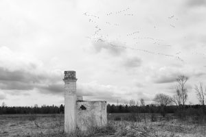 Фрагмент мемориала «Большое Заречье – русская Хатынь» в дер. Большое Заречье Ленинградской области. Фото Е.Н. Ларина. 2016 г.